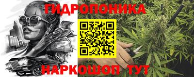 spice Славгород