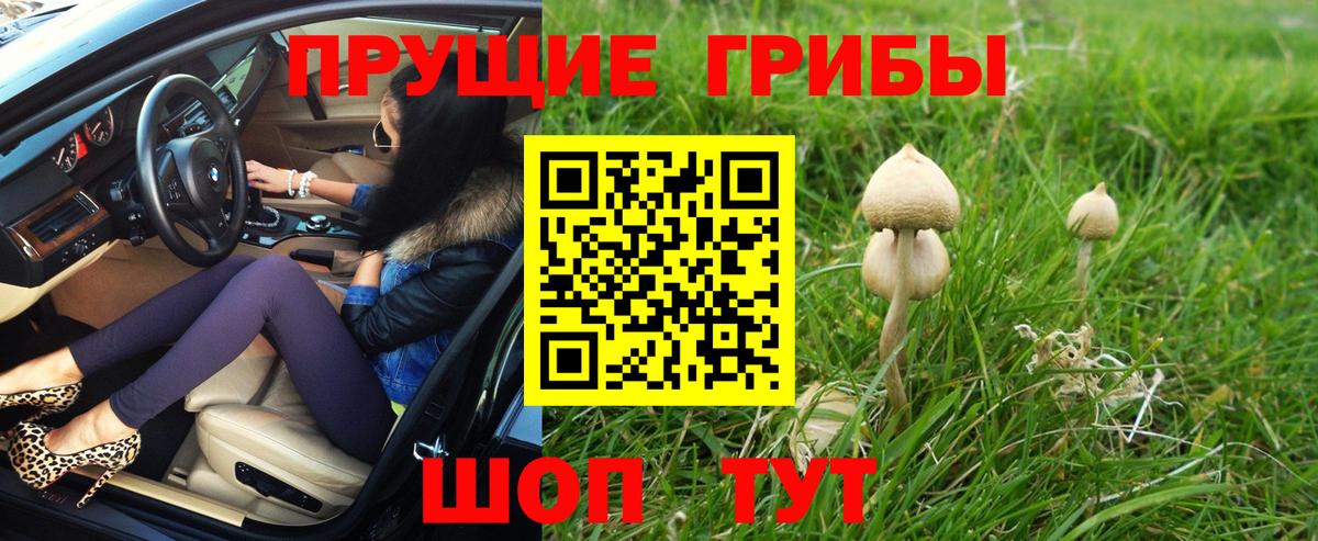 Партизанск  Галлюциногенные грибы мухоморы  Вход с VPN 